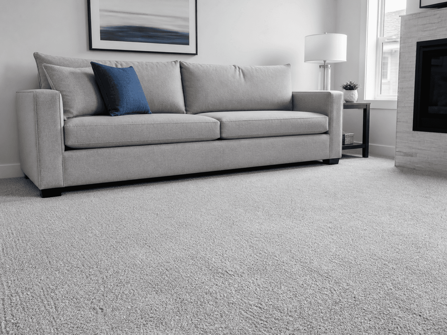 Clean light-gray sofa and carpet in a bright living room